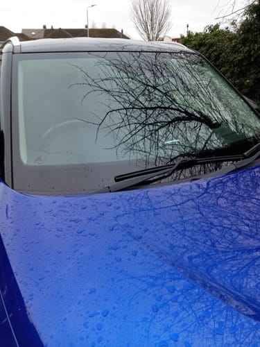 Customer's shiny blue car hood showing excellent water beading and clear reflections on the windshield after detailing.