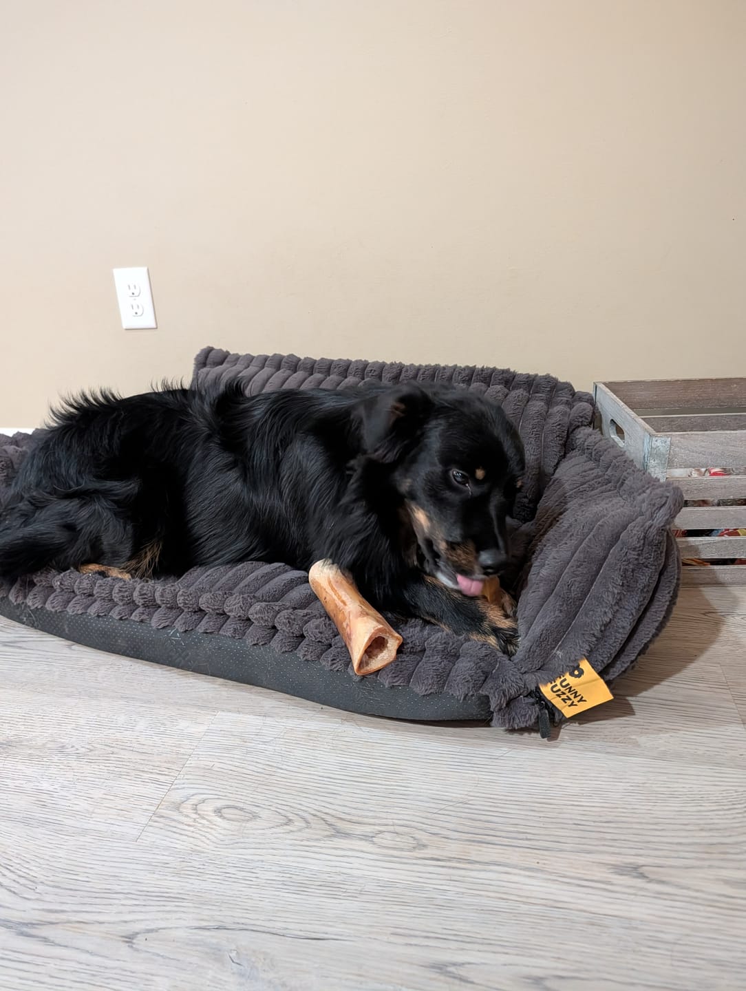 Customer photo review of Large Dog Valentine's Day Love Bundle II (4x 5oz Jerky Bags + 4x LARGE Smoked Marrow Bones)