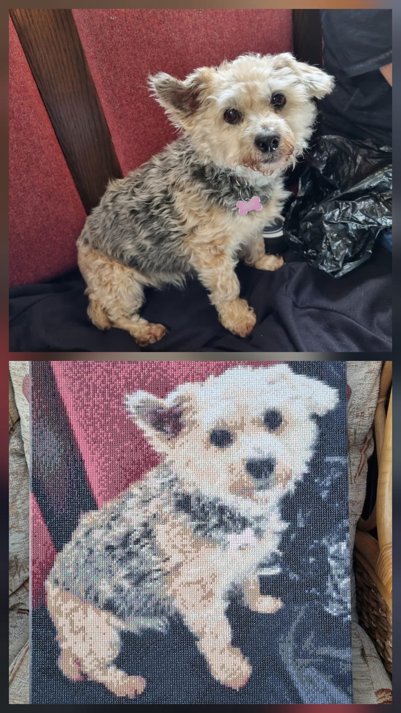 Customer photo review of Personalised Crystal Art Canvas Kit