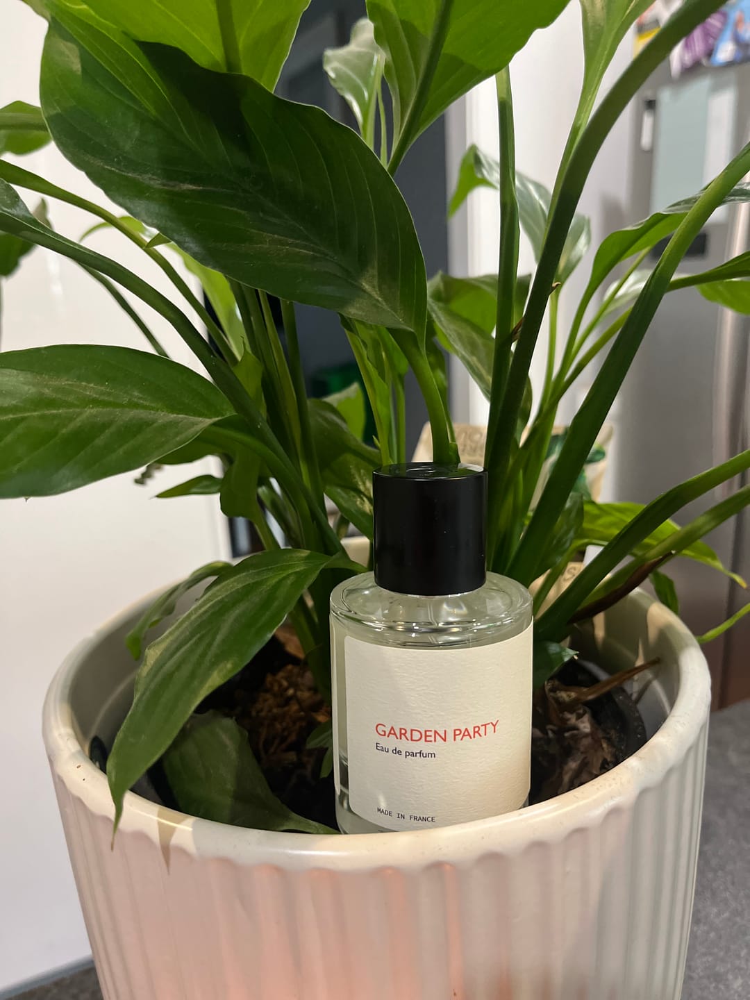 Customer photo review of Garden Party