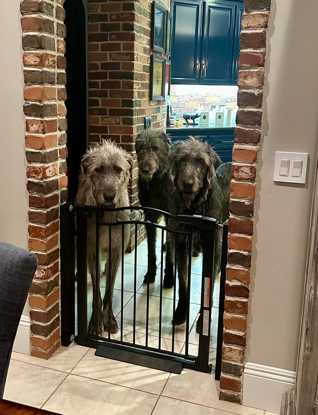 Customer photo review of FairyBaby Arch-Shaped Walk Through Baby Gate With 23.5" Extra Wide Walk Through Door
