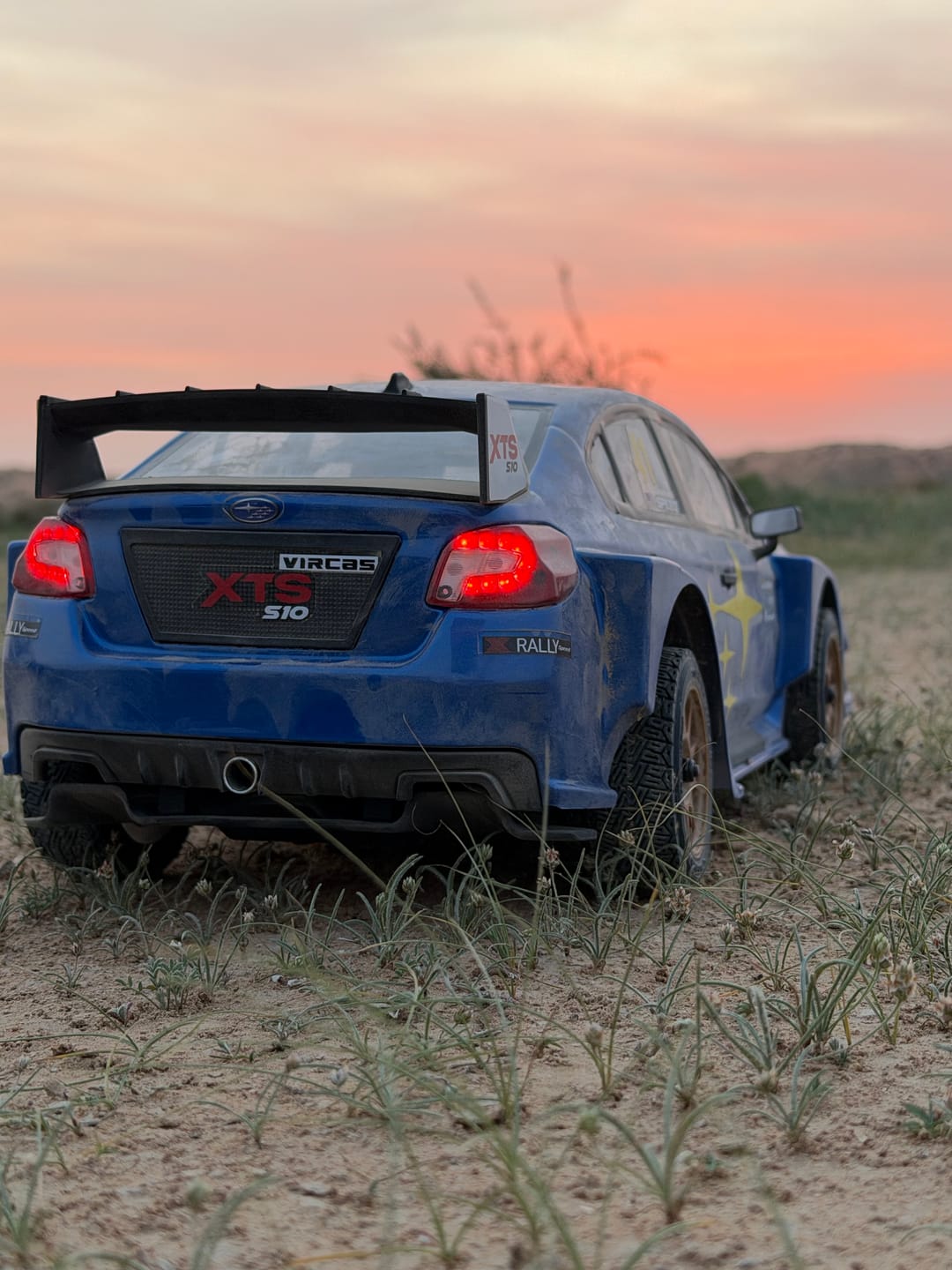 Customer photo review of Rlaarlo 1/10 Scale RTR 4WD Carbon Fiber Brushless RC Rally Car | XTS-S10