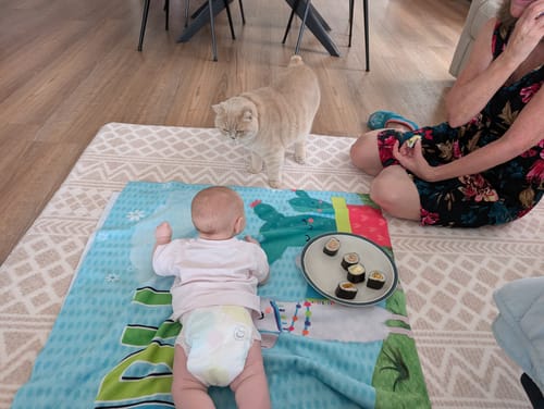 Customer's family, including a baby and cat, using the stylish Designer Relax Mat in their living room.
