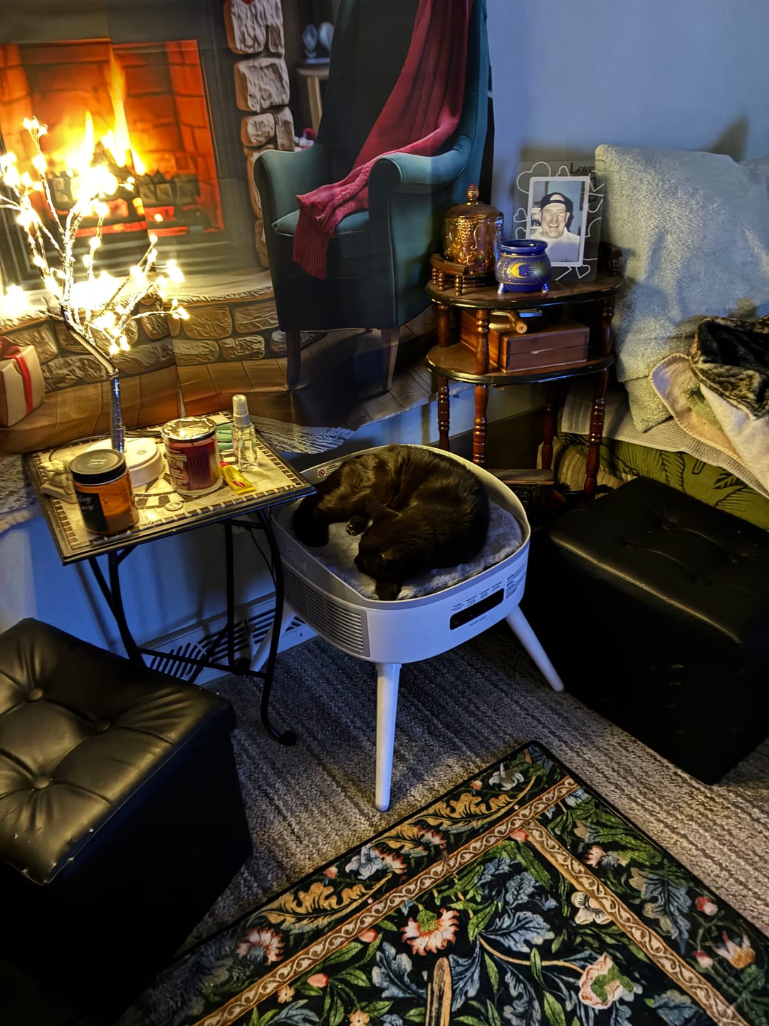 Customer photo review of Pet-Friendly Space Heater PH20