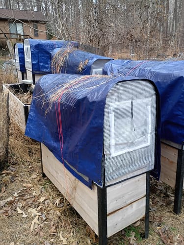 Customer photo review of Greenhouse Cover