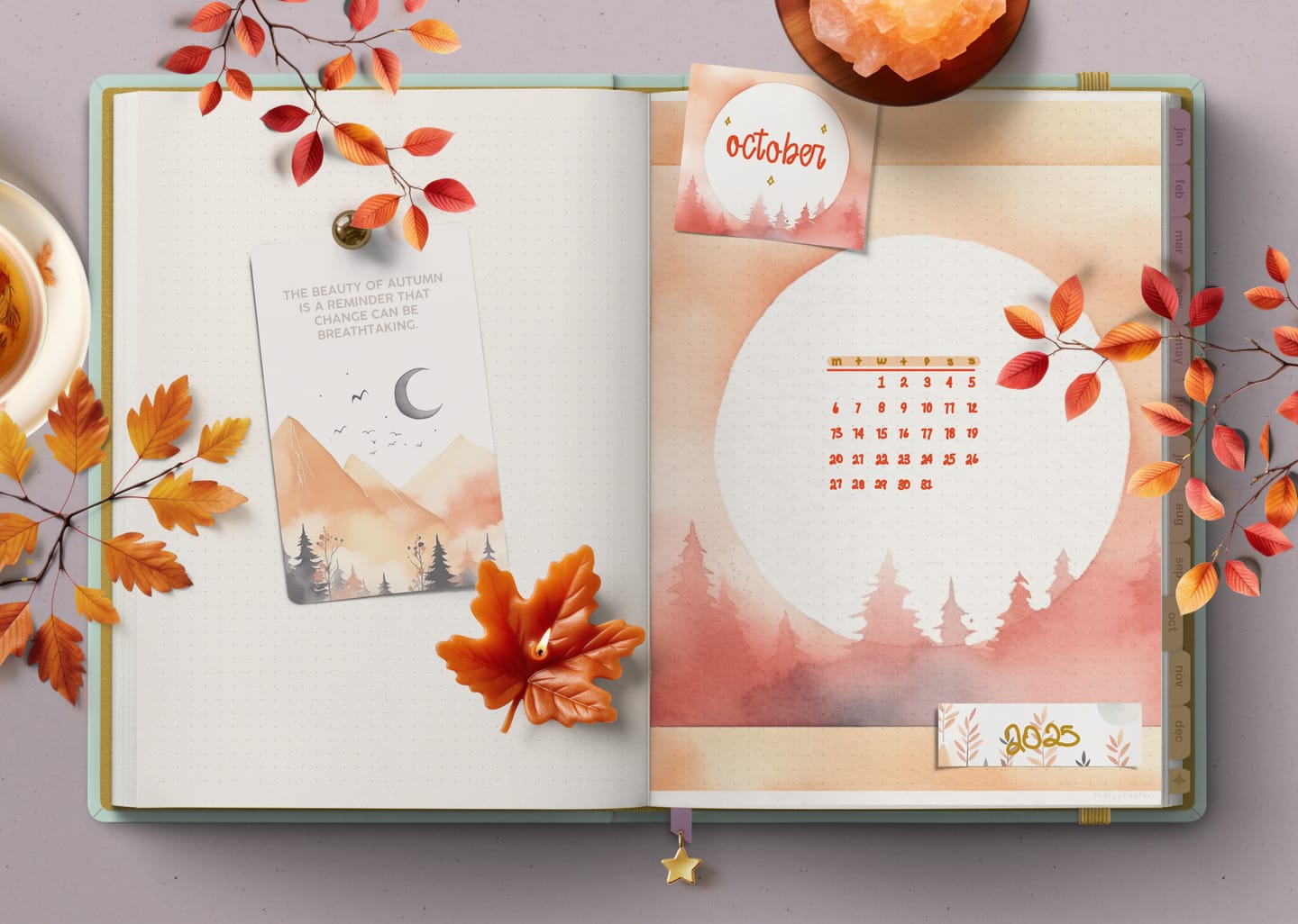 Customer photo review of Wonder Box October 2023