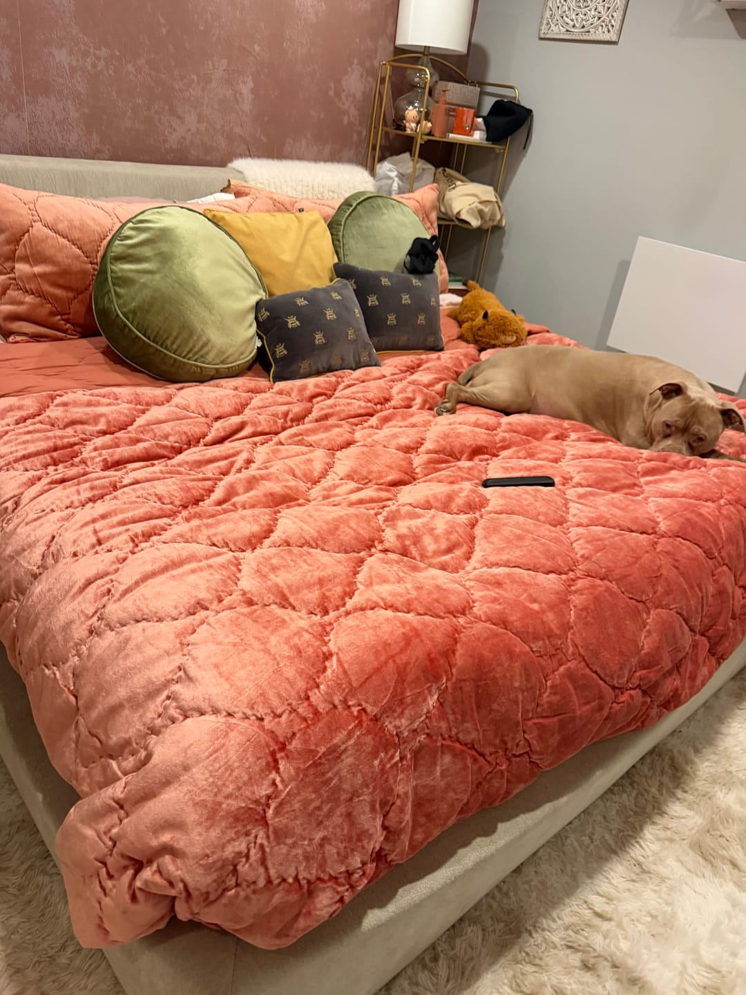 Customer photo review of O2 Soft Frame Bed