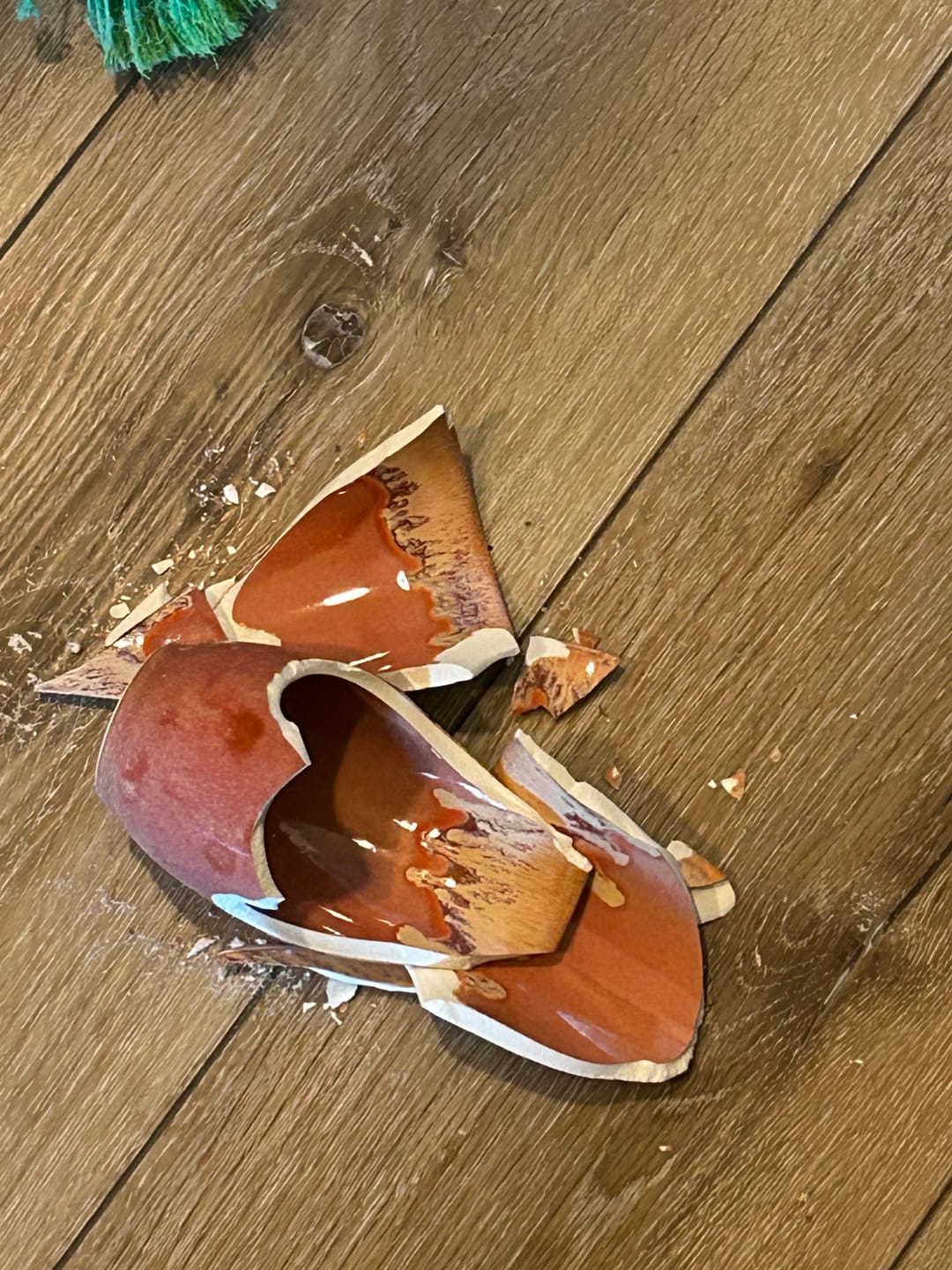 Customer photo review of Jupiter Cup 12oz