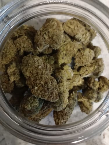 Customer photo review of Jager Sour Diesel - 28 Grams - Sativa