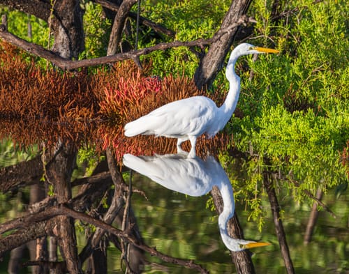 Customer photo review of 11x11 Giclee Fine Art Prints