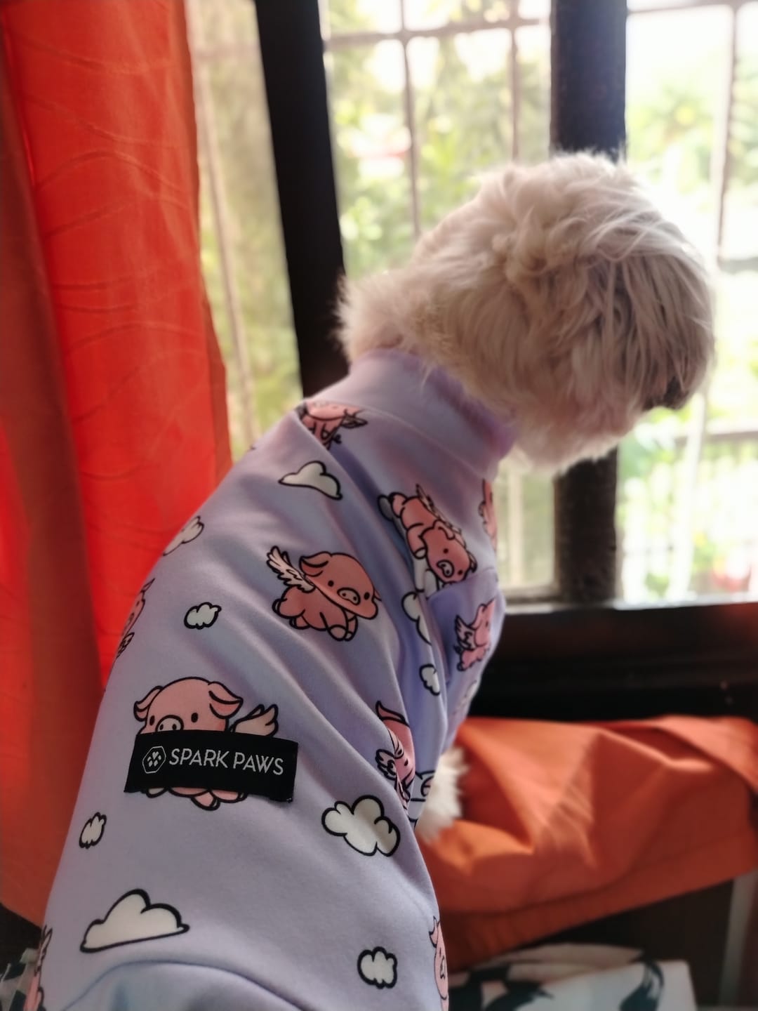 Customer photo review of Dog Pajama - When Pigs Fly