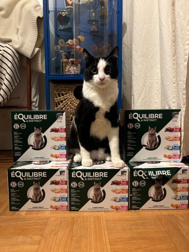 Customer photo review of Croquettes riches en poissons blancs frais (Chat stérilisé)