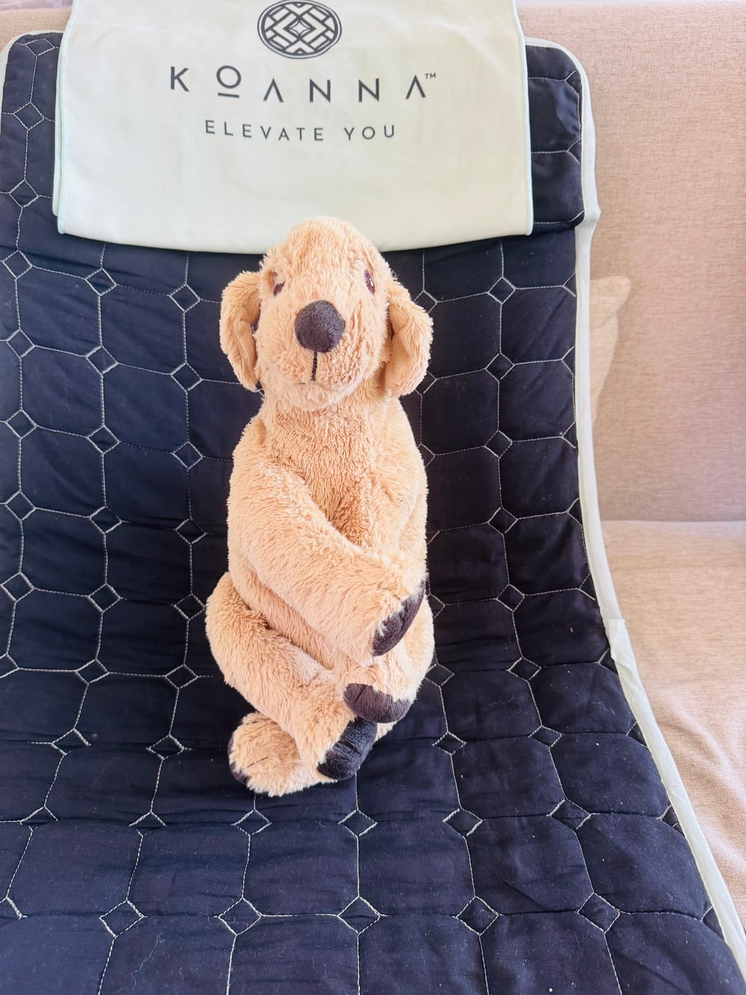 Customer photo review of Koanna® Therapy Mat Go