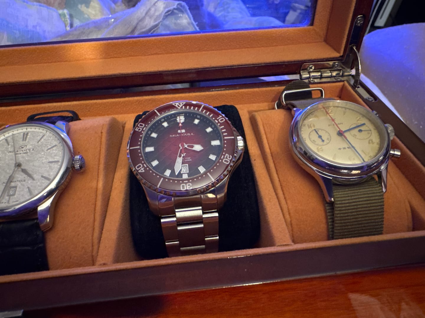 Customer photo review of Ocean Series "Dragon Kings of the Four Seas" Dragon-scale Dial 300m Waterproof Diving Watch 44mm