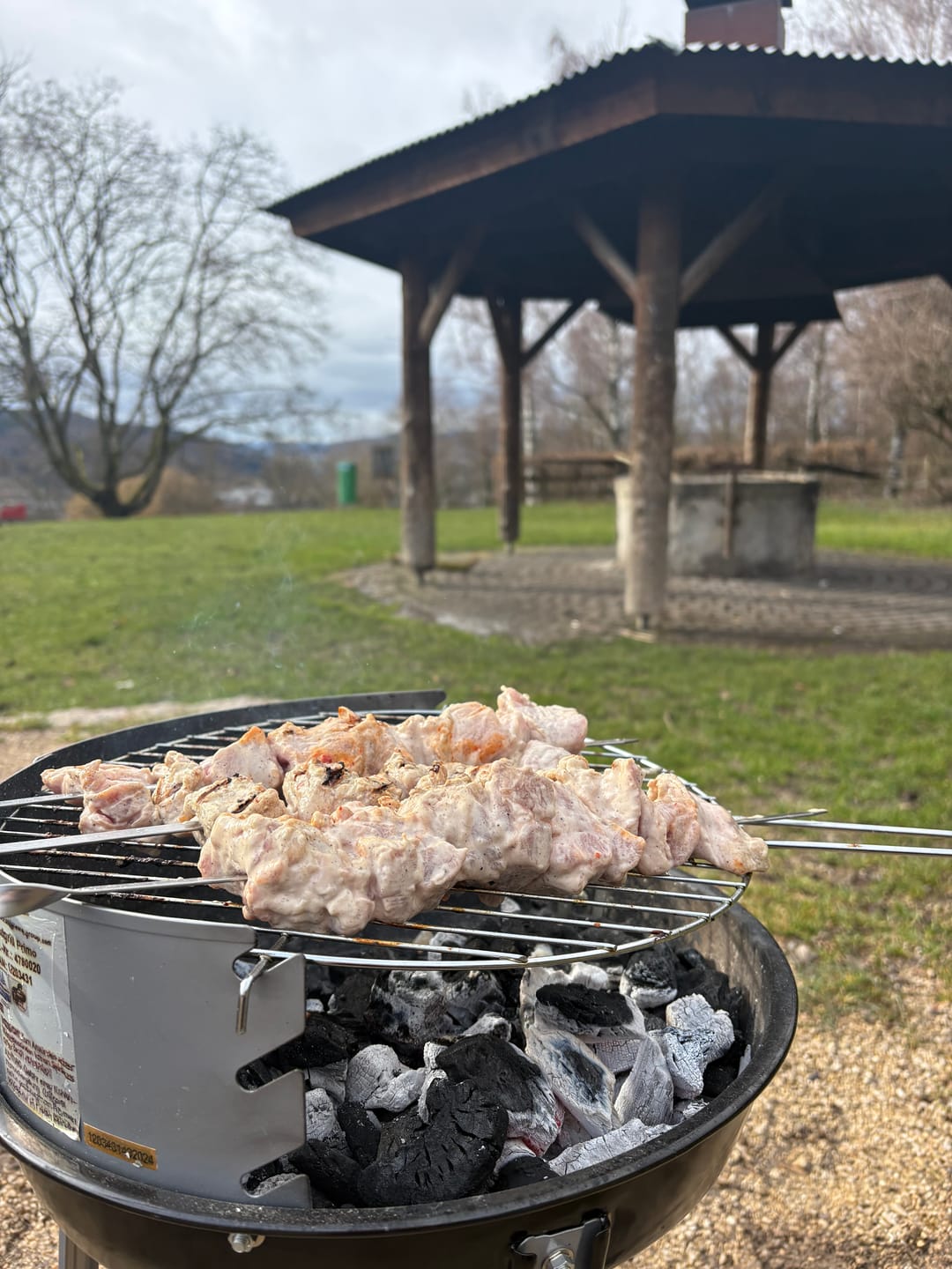 Customer photo review of Schweine-Schaschlik Chili – würzig-scharf nach Familienrezept | mySchaschlik
