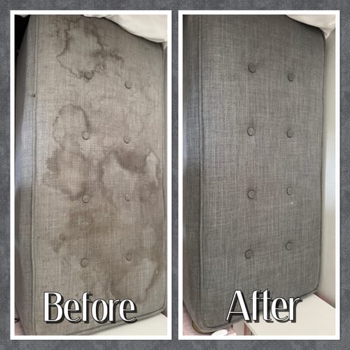 Customer photo review of Green Mitt Kit