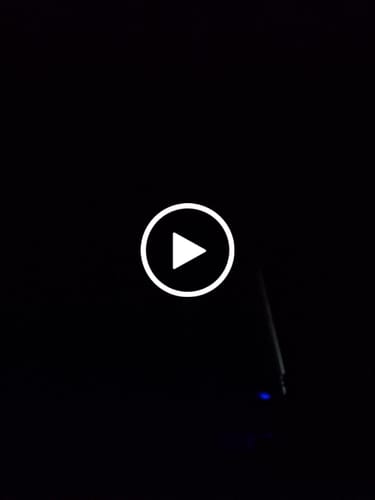 Customer video review of The Survivor II