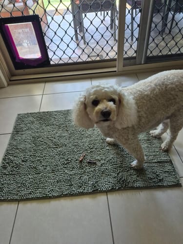 Customer photo review of Roo Jerky