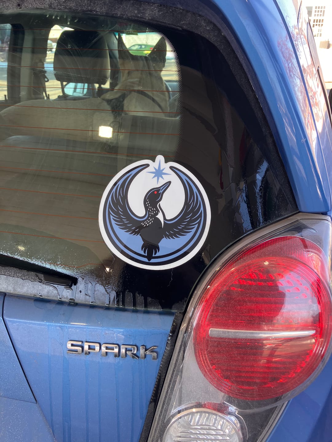Customer photo review of Large Rebel Loon Vehicle Decal Sticker