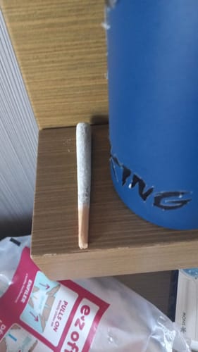 Customer photo review of TROPICAL 2G PRE-ROLL 10CT