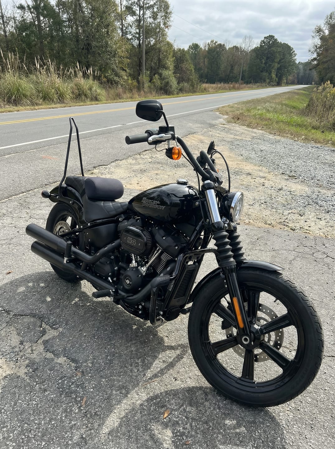 Customer photo review of Iron Born Blade 25" Sissy Bar for Harley Softail Street Bob Matte Black