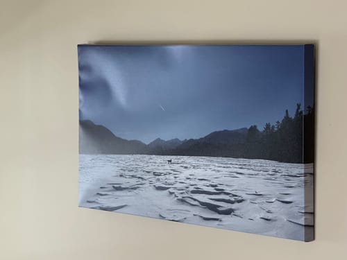 Customer photo review of Create Your Own Canvas Set - Wide Landscape