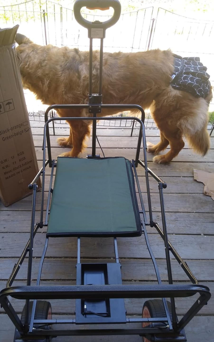 Customer photo review of Nomad Hybrid Electric Heavy-Duty Camping Trolley