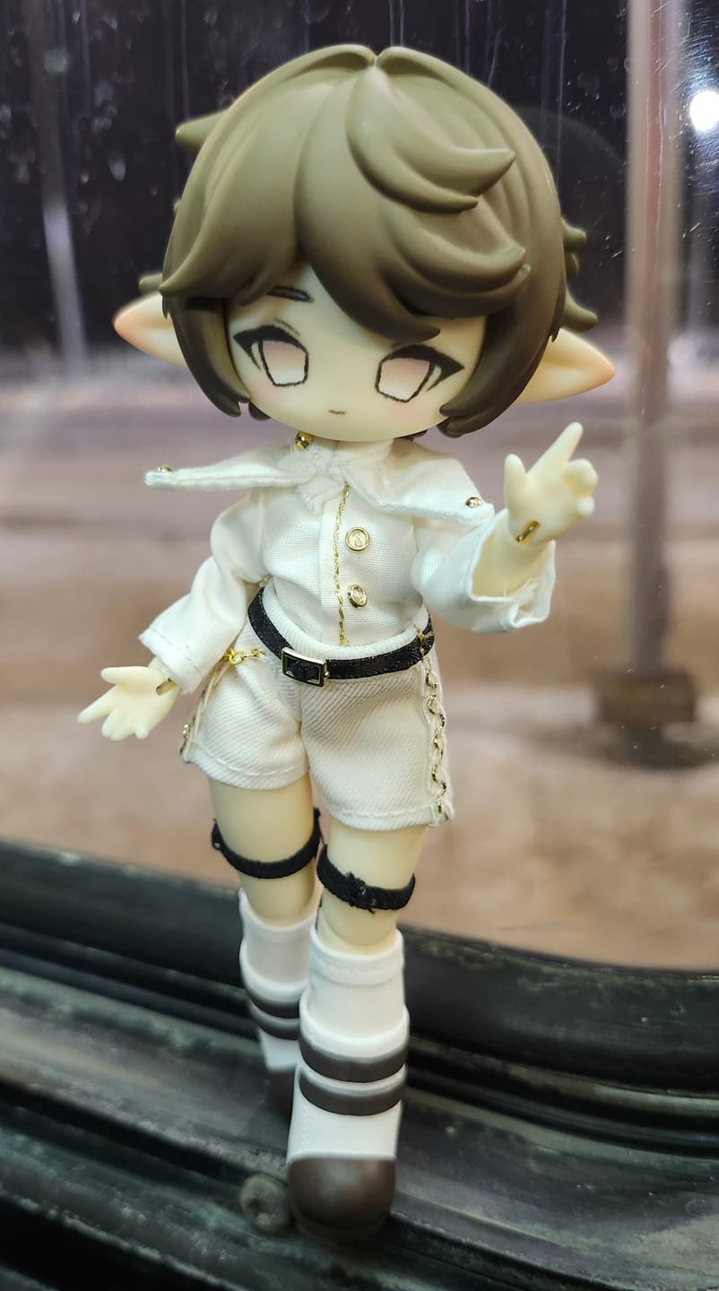 Customer photo review of Arcane Circuit 1/12 Action Figure BJD Blind Box