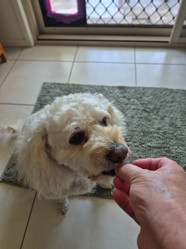 Customer photo review of Roo Liver