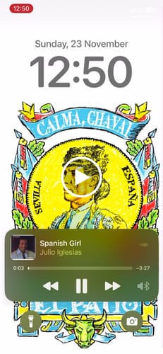 Customer video review of BARAJA ESPAÑOLA WALLPAPER