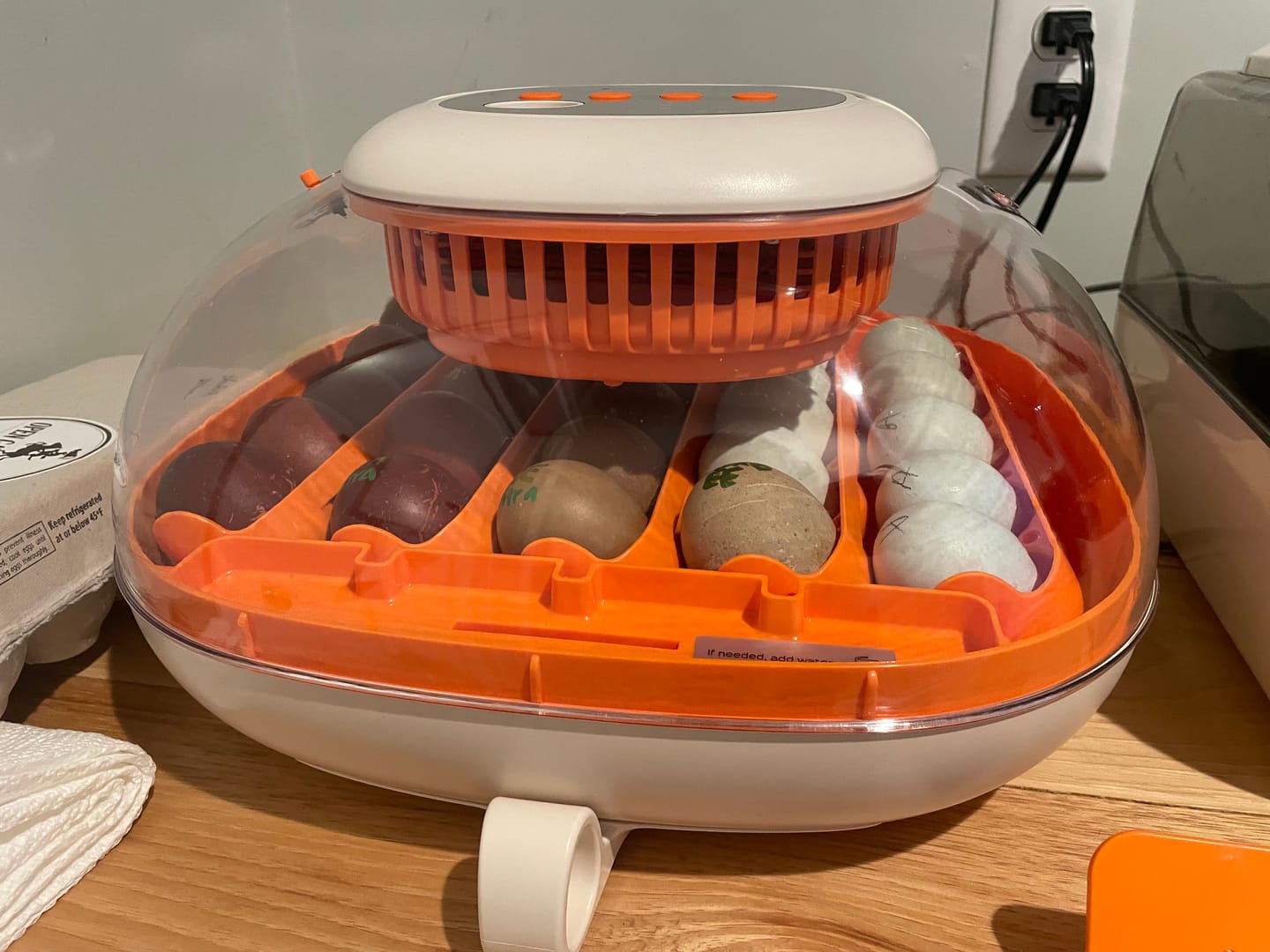 Customer photo review of Egg Incubator -25 Egg Capacity
