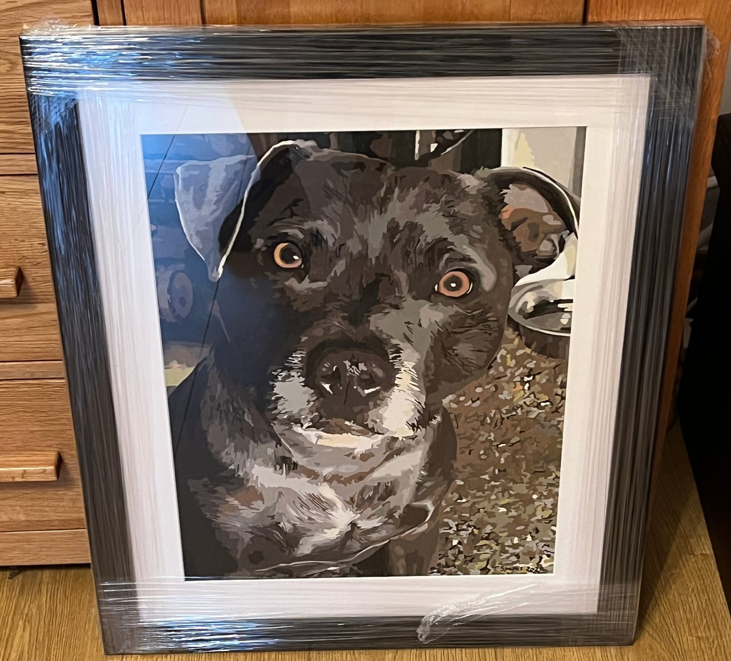 Customer photo review of Custom Paint By Numbers