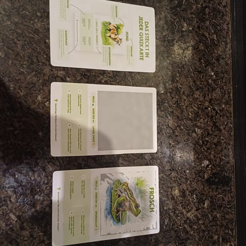 Kundenrezension, die drei Spielkarten des Edubini Rubbelrätsels zeigt: eine Anleitungskarte, eine ungerubbelte Karte und eine mit einem Frosch.