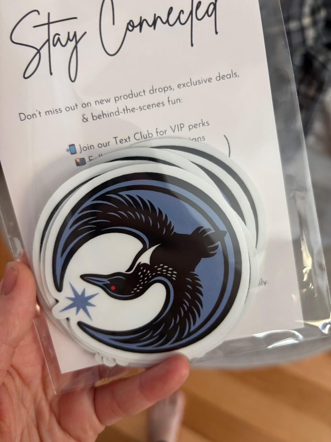 Customer photo review of Rebel Loon Sticker
