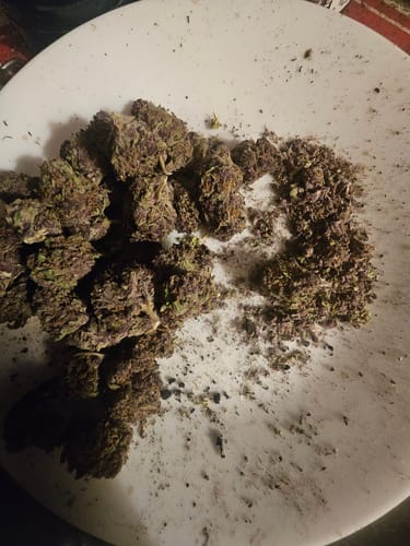 Customer photo review of Trop Cherry - Minis - 28 Grams - Sativa
