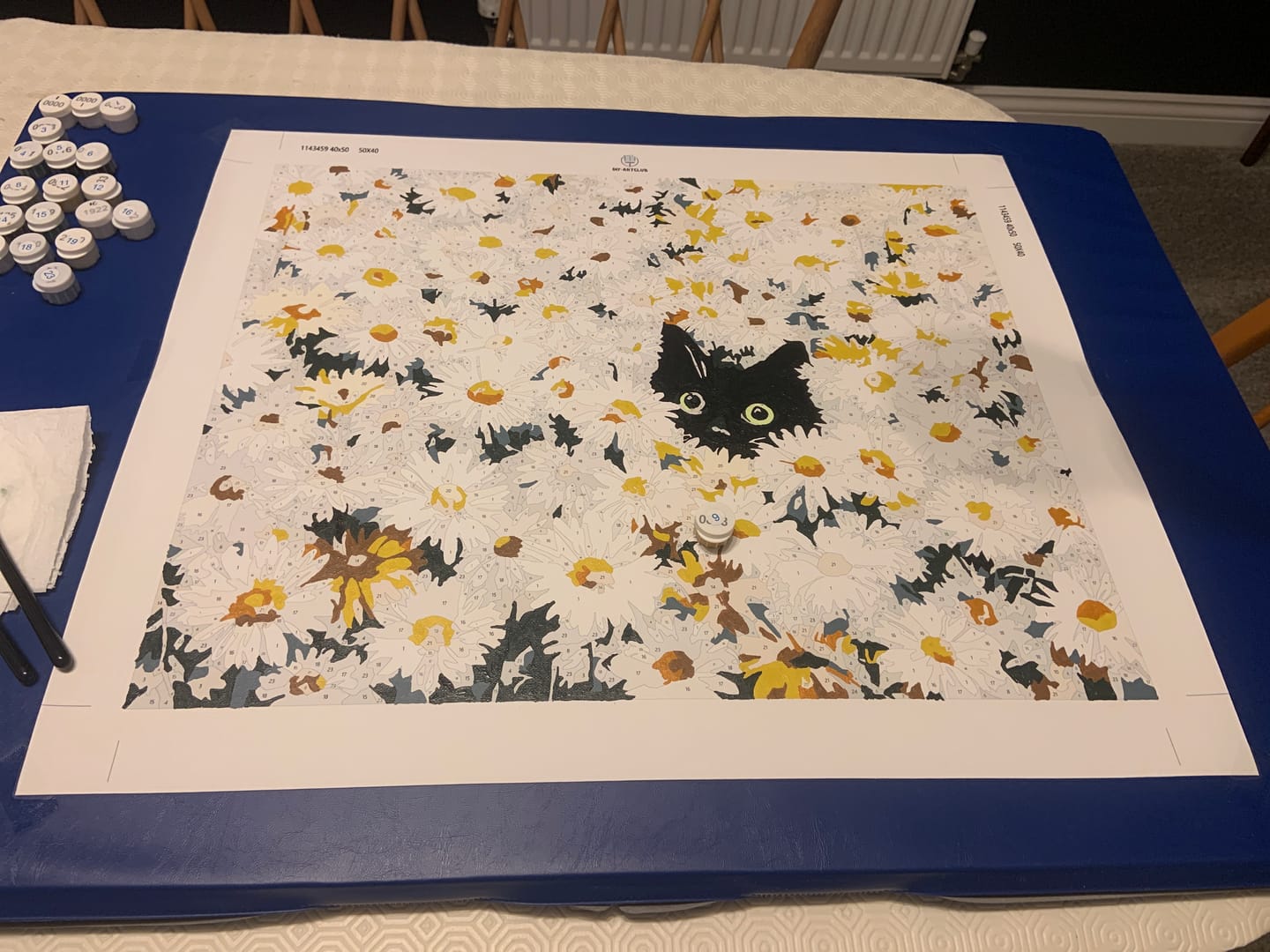 Customer photo review of Cat in the daisy field | Paint by Number