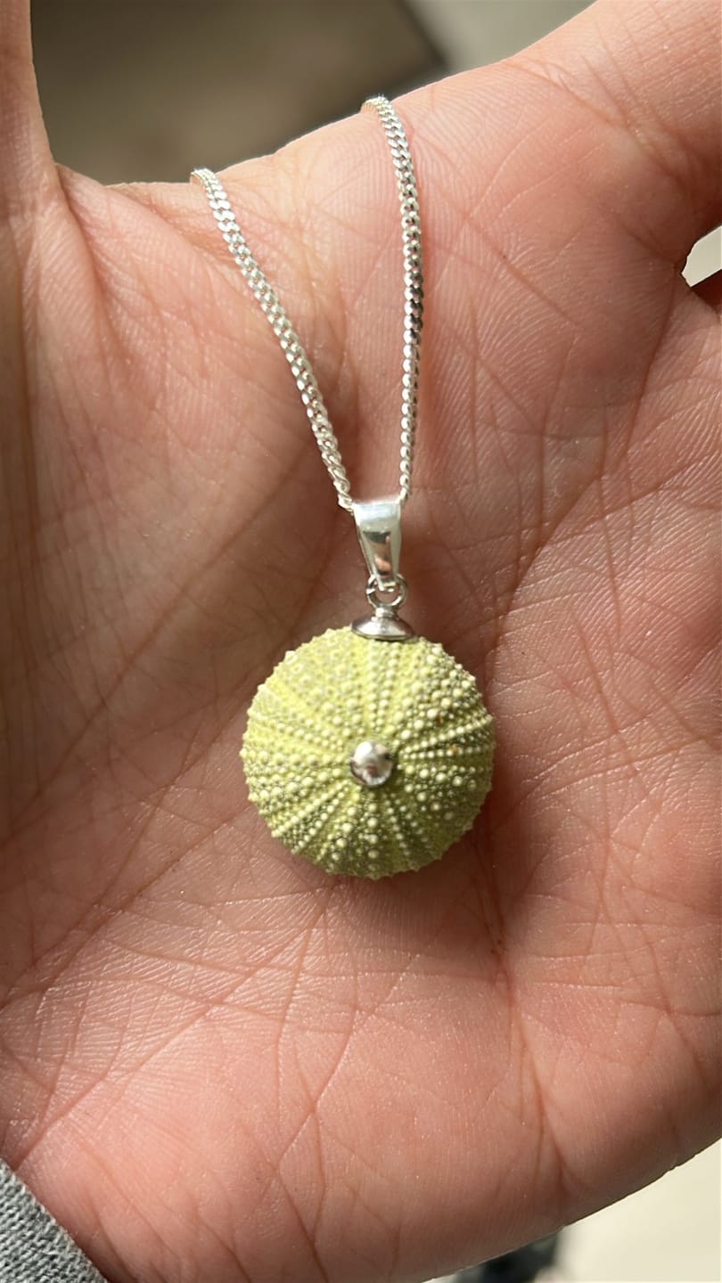 Customer photo review of Colgante Erizo Verde Natural Pequeño