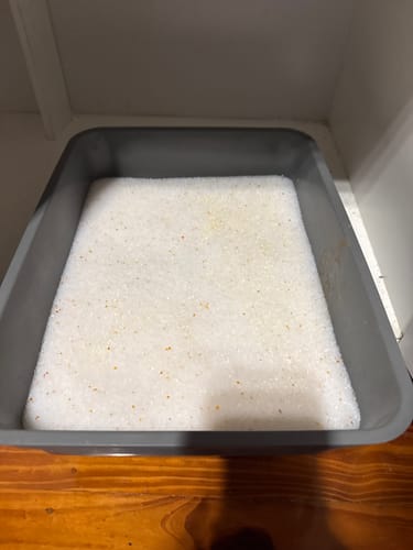 Customer photo review of 1 Month Supply – 1 Cat