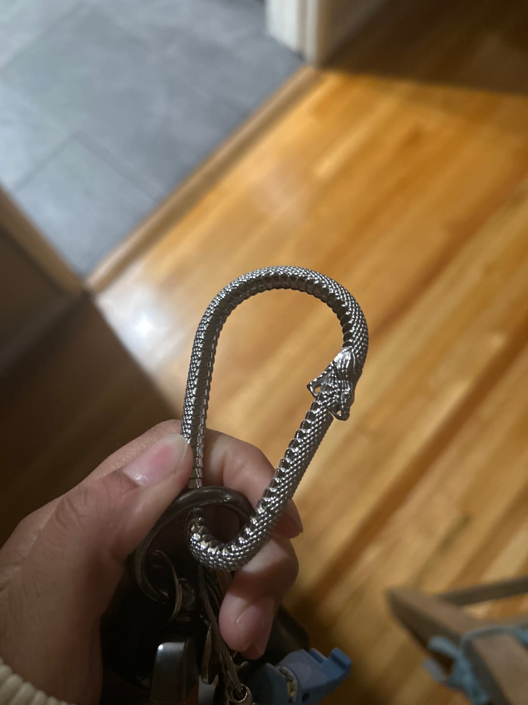 Customer photo review of OUROBOROS CARABINER
