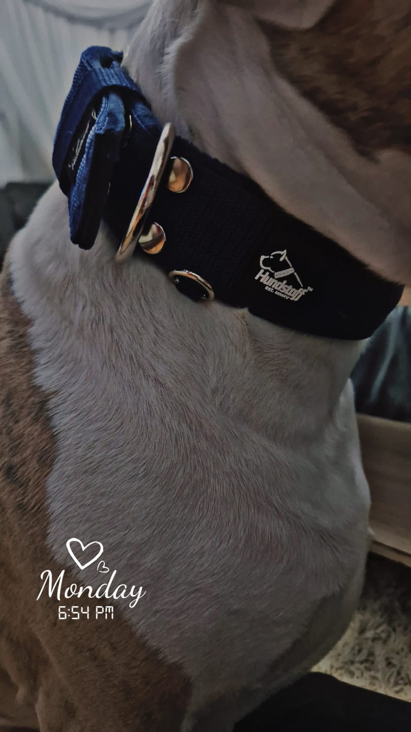 Customer photo review of Active obroża i smycz - Active Set Navy Blue