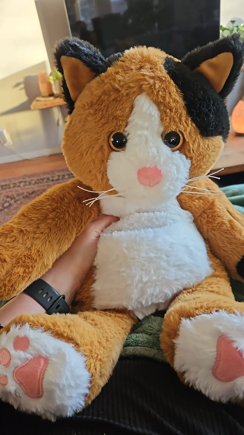Customer photo review of Verzwaringsknuffel Kat 2,2 kg + Gratis Pittenzakje