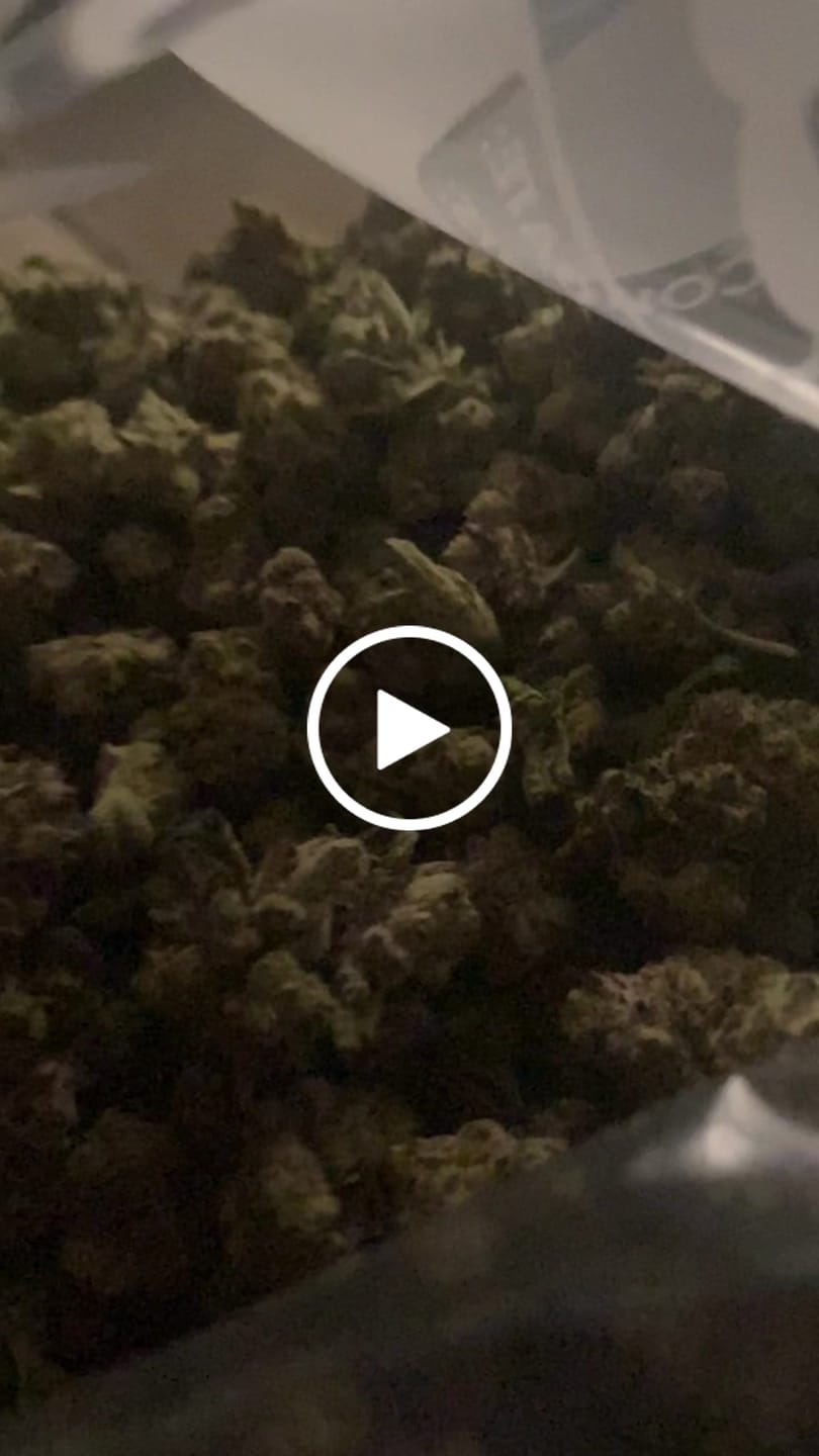Customer video review of Ice Cream Cake (Wholesale)