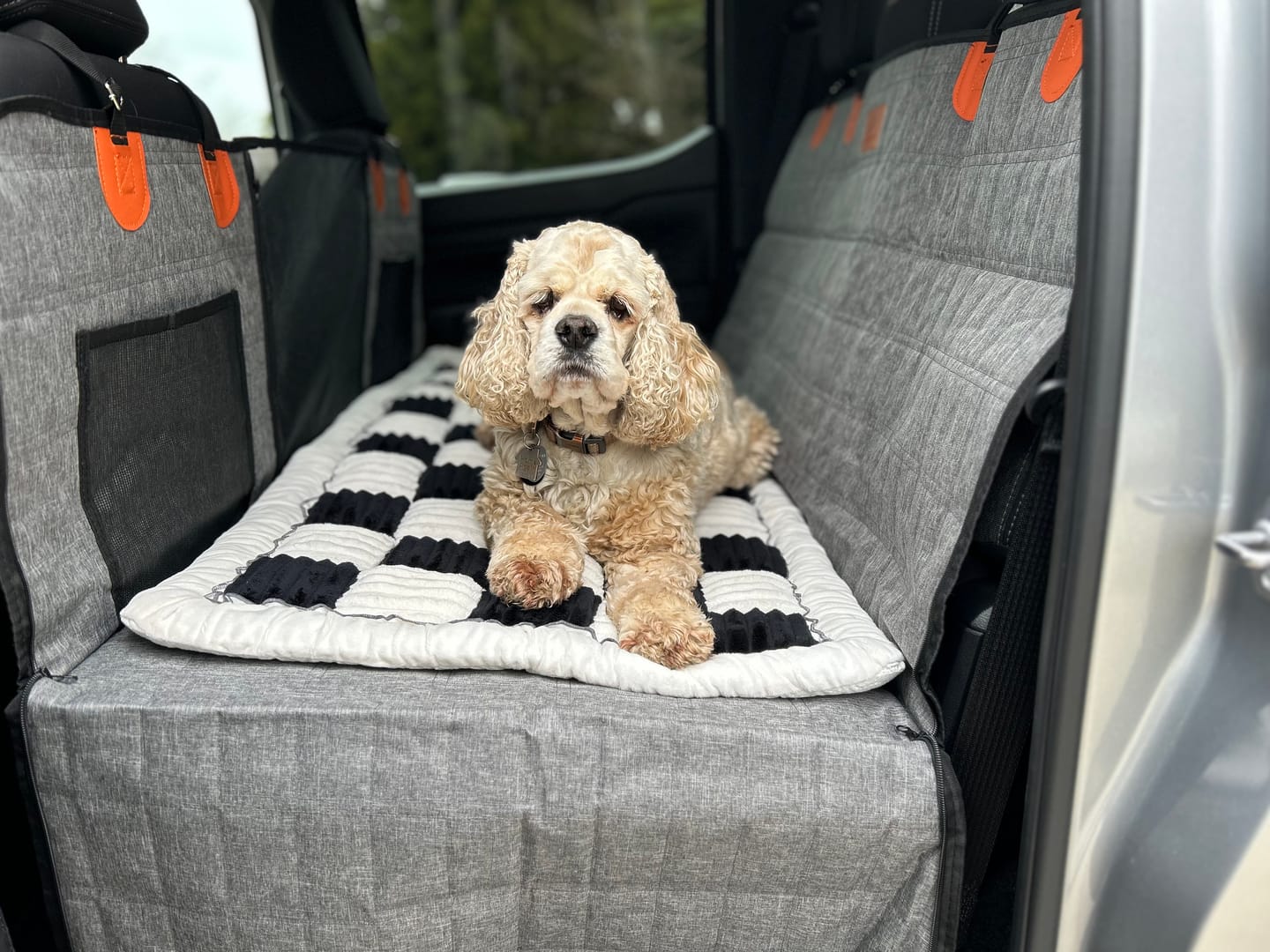 Customer photo review of CozyRider™ 2.0
