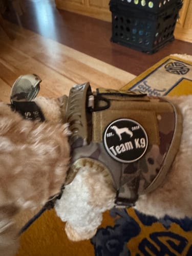 Close-up of a reviewer's dog wearing the camouflage Team K9 Tactical Dog Harness with a logo patch.