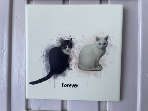 Customer photo review of Aquarel Portret op Tegel - Upload je eigen foto