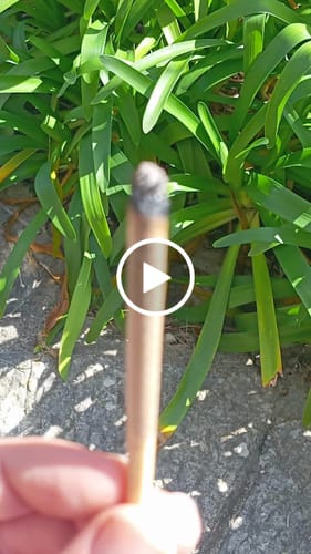 Customer video review of Gary Payton 31% THCA