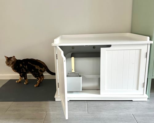 Customer photo review of Fit Litter PLUS - 1 month supply - 2 cat