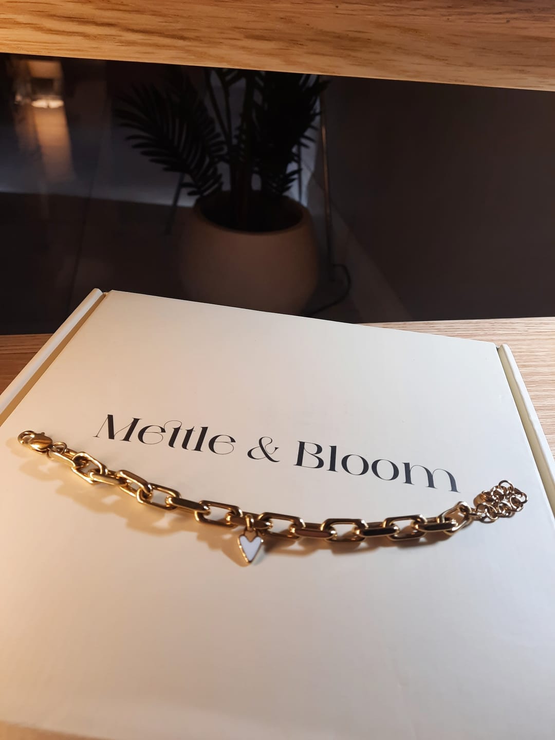 Customer photo review of Lovestory Charm Bracelet