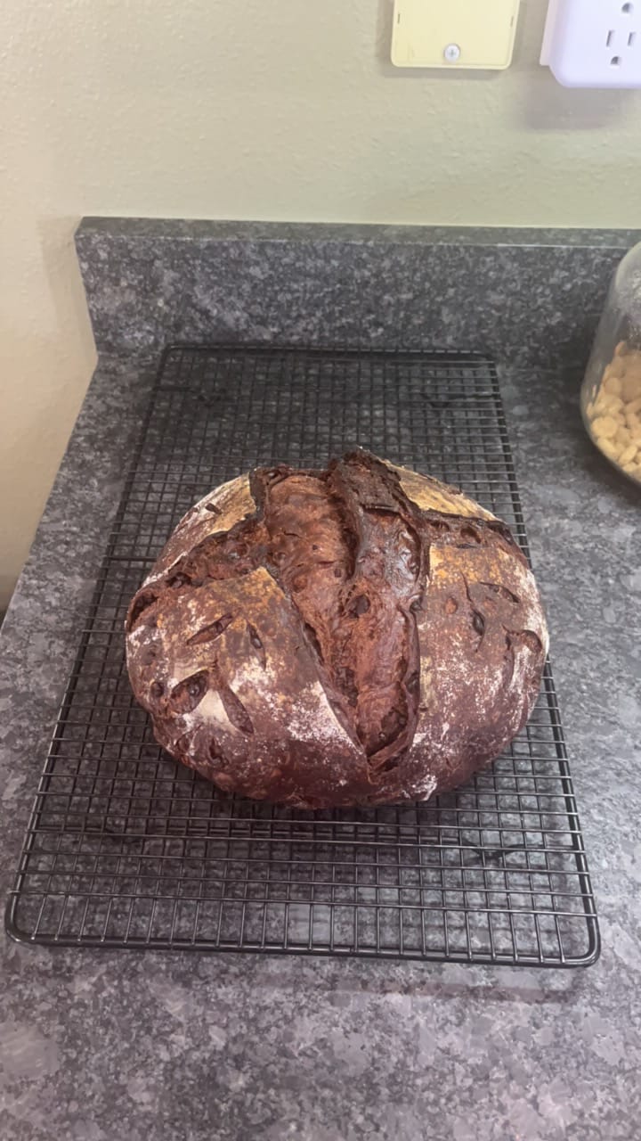 Customer photo review of Live 118 Year Old Valrhona CHOCOLATE Sourdough Starter Includes Maintenance PDF & Chocolate Noir Loaf Recipe