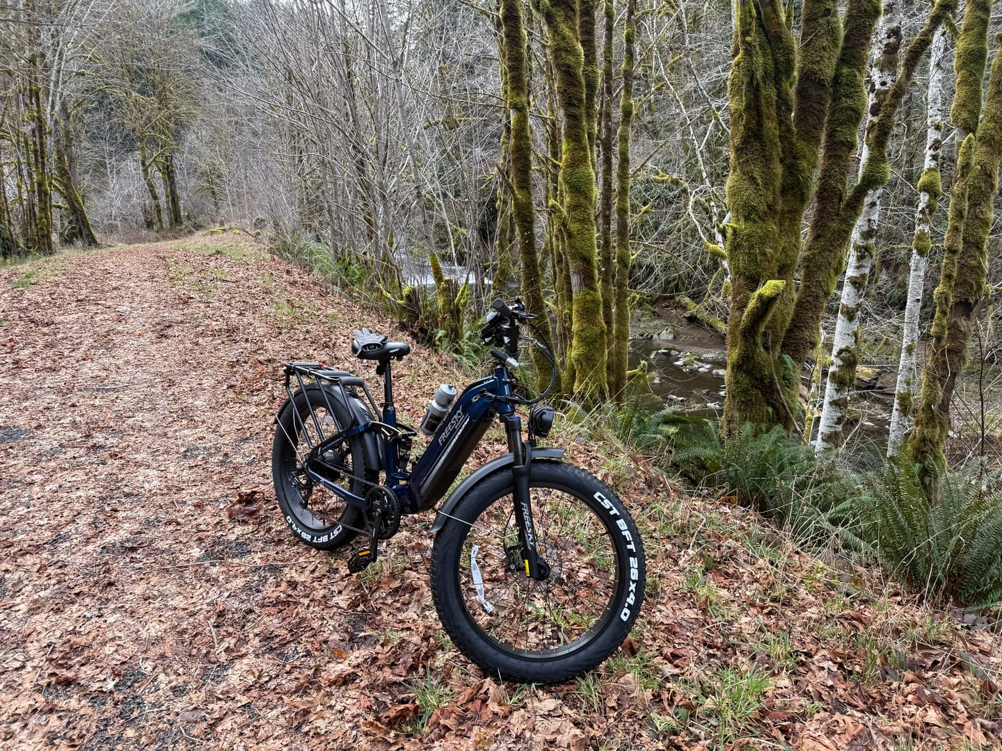 Customer photo review of Wild Cat Ultra A-340